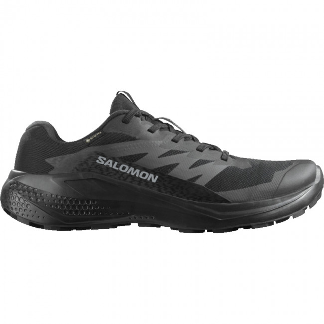 Salomon Alphaglide GTX juoksukengät miesten