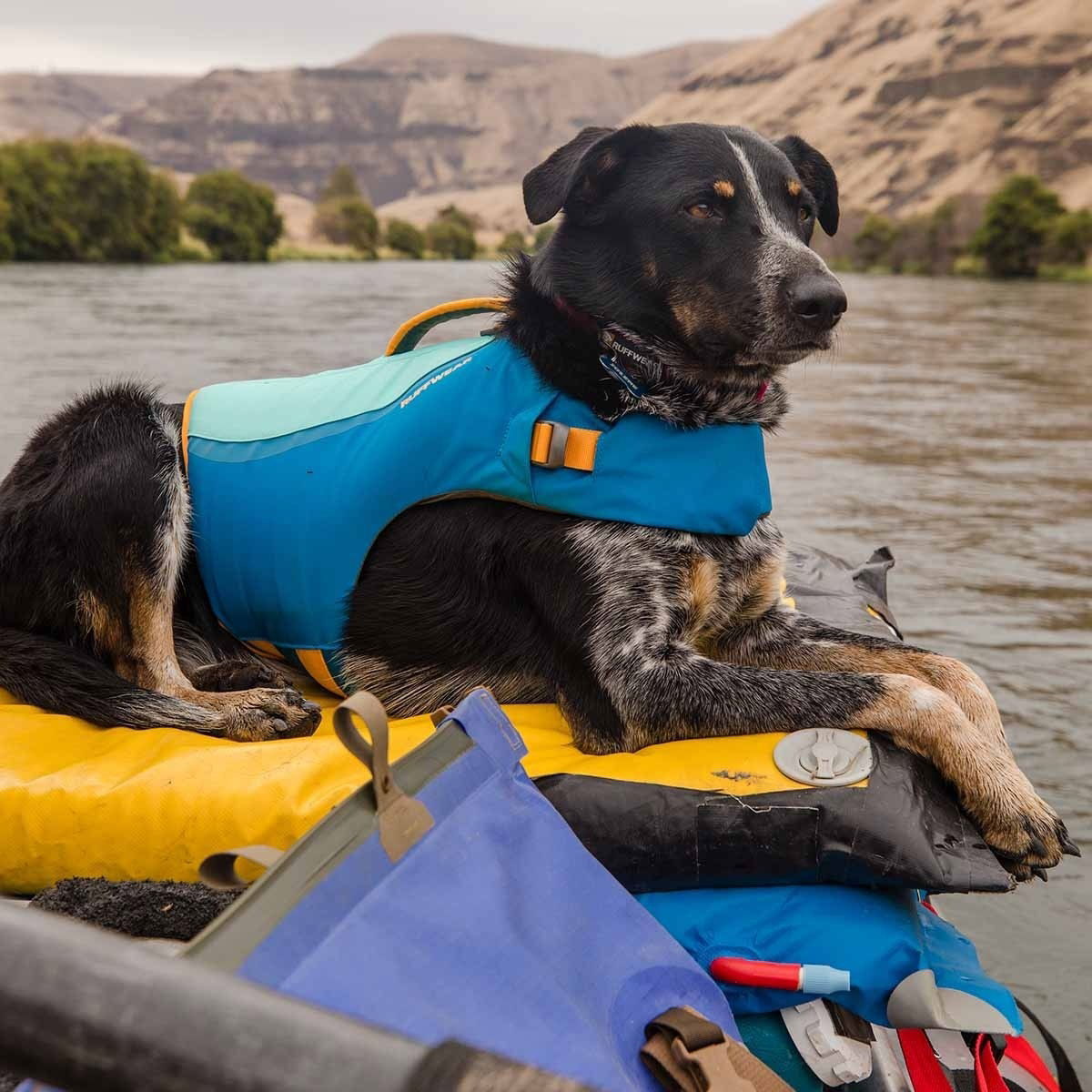 Koiran pelastusliivit Ruffwear Float Coat, sininen
